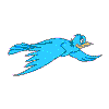 bird6.gif (2812 bytes)